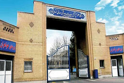 جزئیاتی از جنایت شوکه کننده در دانشگاه علوم پزشکی قزوین/ دانشجوی دندانپزشکی چرا همسرش را کشت و خودکشی کرد؟