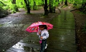 هشدار هواشناسی برای ۱۱ استان