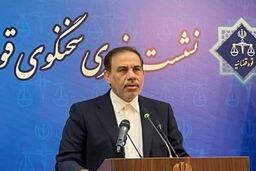 آخرین وضعیت پرونده اعلام جرم علیه سلبریتی‌ها در حوادث اخیر؛ «برای برخی چهره‌ها کیفرخواست صادر شده»/ یقه کسانی که در این فتنه نقش داشتند رها نخواهد شد