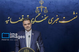 اعلام وضعیت پرونده عباس ایروانی/ قوه قضائیه: میزان محکومیت ۲۵ سال حبس است نه ۶۵ سال