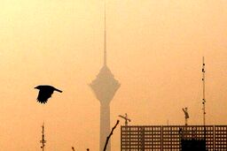 تهران در وضعیت نارنجی/ این گروه از خانه خارج نشوند