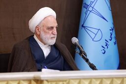 واکنش محسنی اژه‌ای به «اینترنت پرو»: هم تبعیض است هم فساد