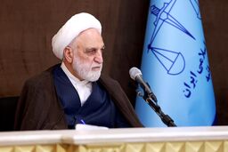 واکنش محسنی اژه‌ای به «اینترنت پرو»: هم تبعیض است هم فساد