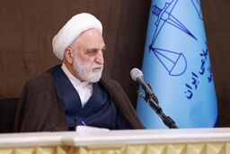 واکنش محسنی اژه‌ای به «اینترنت پرو»: هم تبعیض است هم فساد