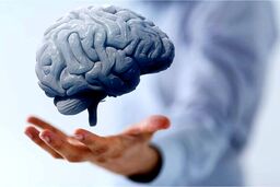 یک توصیه برای جوان نگه داشتن مغز

