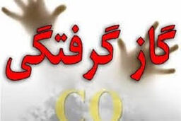 گازگرفتگی مرگبار در کاشان/ آمار جان‌باختگان

