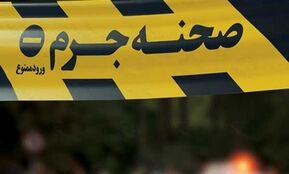 مرد همسرکش ۸۰ ساله:  فکر می‌کردم زن ۷۰ ساله‌ام خیانت می‌کند