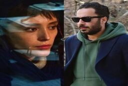 سریال جنگل آسفالت چند قسمت است+ خلاصه داستان و بازیگران