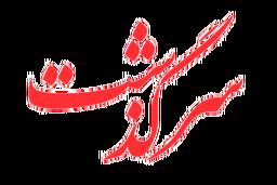 شوهرم هوس‌باز است، از عاشق شدن پشیمانم