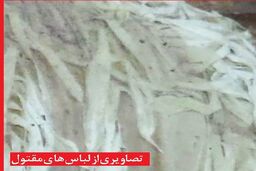 تلاش کارآگاهان رازگشایی از قتل فجیع زن ناشناس