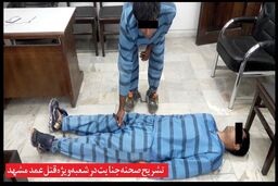 اعتراف 3 جوان به ارتکاب جنایت خیابانی