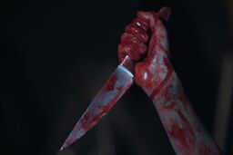 اخاذی مرگبار به خاطر فیلم خصوصی از کارگر 18 ساله