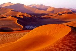 مرگ پژوهشگر زمین‌شناس در کویر لوت به دلیل تشنگی و گرما