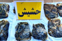 کشف ۱۲۶بسته حشیش در معده یک زن