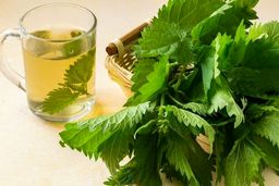 گزنه برای چی خوب است