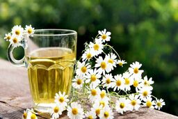 بابونه برای چی خوب است؟