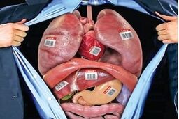 دلال خرید و فروش کلیه با راه‌اندازی گروه واتس‌اپی لو رفت و دستگیر شد
