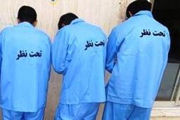 ماجرای عجیب گرفتار شدن سارقان حرفه‌ای در تله ماموران قلابی