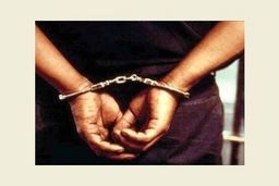 قاتل فراری، سرکرده باند سرقت خودروهای لاکچری