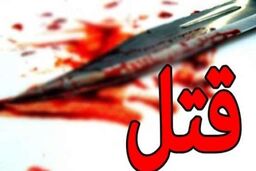 متهمان قتل مرموز پسر جوان خود را معرفی کردند/انگیزه جنایت خیابانی؛ در هاله‌ای از ابهام