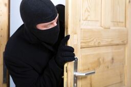 حمله 3 سارق به خانه عروس آلمانی در شیراز/ دلیل زن جوان برای بخشش یکی از سارقان چه بود؟