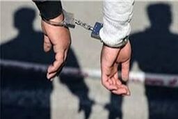 نجات گروگان 30 هزار دلاری از صندوق عقب خودرو