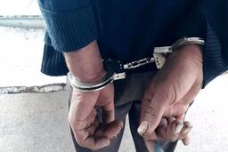 مردی هنگام ربودن دختری خردسال در جنوب تهران دستگیر شد