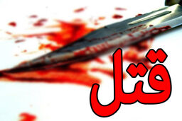 دستگیری قاتل تحت تعقیب 10 ماه پس از فرار از کشور