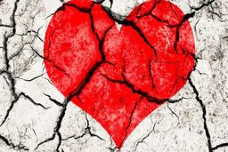 همسر خیانتکارم طلاق گرفت و مرا از خانه بیرون کرد