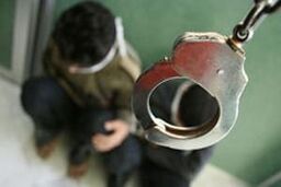 آدم‌ربایی هالیوودی در بزرگراه فتح؛ 3 متهم دستگیر شدند