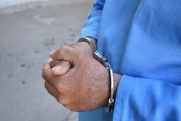 قاتل پسر 18 ساله فردیسی دستگیر شد