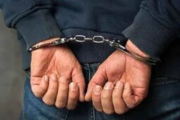 از عشق بازیگری تا سرقت‌های سریالی موبایل