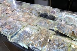 کشف بیش از 100 میلیارد تومان اموال مسروقه با دستگیری 63 سارق در پایتخت