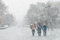 هواشناسی ایران۱۴۰۳/۱۱/۳۰؛هشدار بارش برف و باران در نیمه غربی