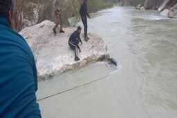 15 روز جست‌وجوی بی‌نتیجه برای یافتن سبحان 5 ساله