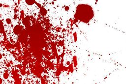 پسر جوان مادرش را به دستور صدایی که در سرش می‌پیچید،کشت