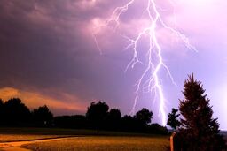 صاعقه همچنان قربانی می‌گیرد