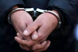 اعتراف جوان ۱۹ ساله به قتل در باغ پرندگان