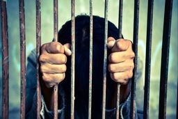 مرد همسرکش با رضایت دخترانش از مرگ نجات یافت