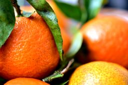 ُسلولیت چیست و چطور از بین می‌رود
