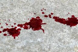 قتل 2 نفر به خاطر شکستن شیشه قلیان