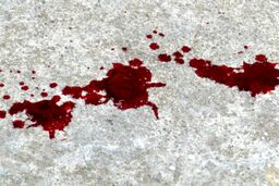 قتل 2 نفر به خاطر شکستن شیشه قلیان