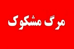 مرگ مشکوک زوج سالمند در استخر