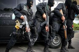 حضور نیروهای نوپو برای گروگانگیری که اتفاق نیفتاده بود