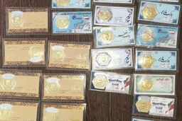 ​​​​​​​شگرد حرفه‌ای زن جوان برای فریب طلافروشان