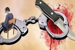 دوستم را کشتم، دستگیرم کنید