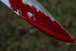 بازداشت یک مظنون در پرونده قتل در خیابان سپهبد قرنی