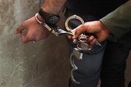 عامل جنایت در برج کوهک پای میز محاکمه رفت/ قتل به خاطر اختلاف 700 میلیون تومانی