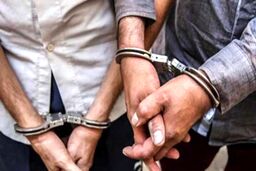 زنی برای تصاحب حقوق بازنشستگی شوهر 82 ساله‌اش آدمکش اجیر کرد