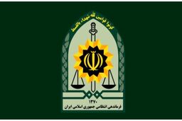 شهادت 3 نفر از پرسنل نیروی انتظامی در پی سقوط هواپیمای سبک